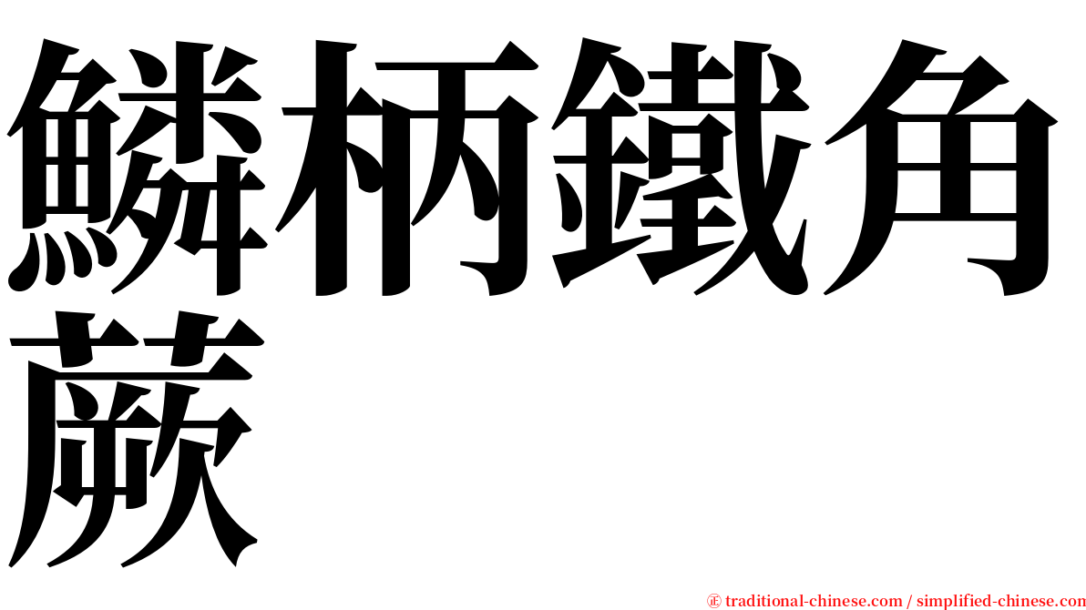 鱗柄鐵角蕨 serif font
