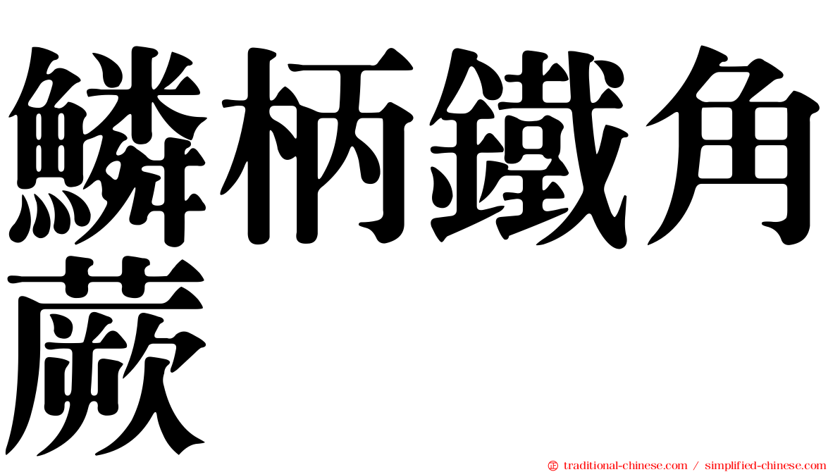 鱗柄鐵角蕨