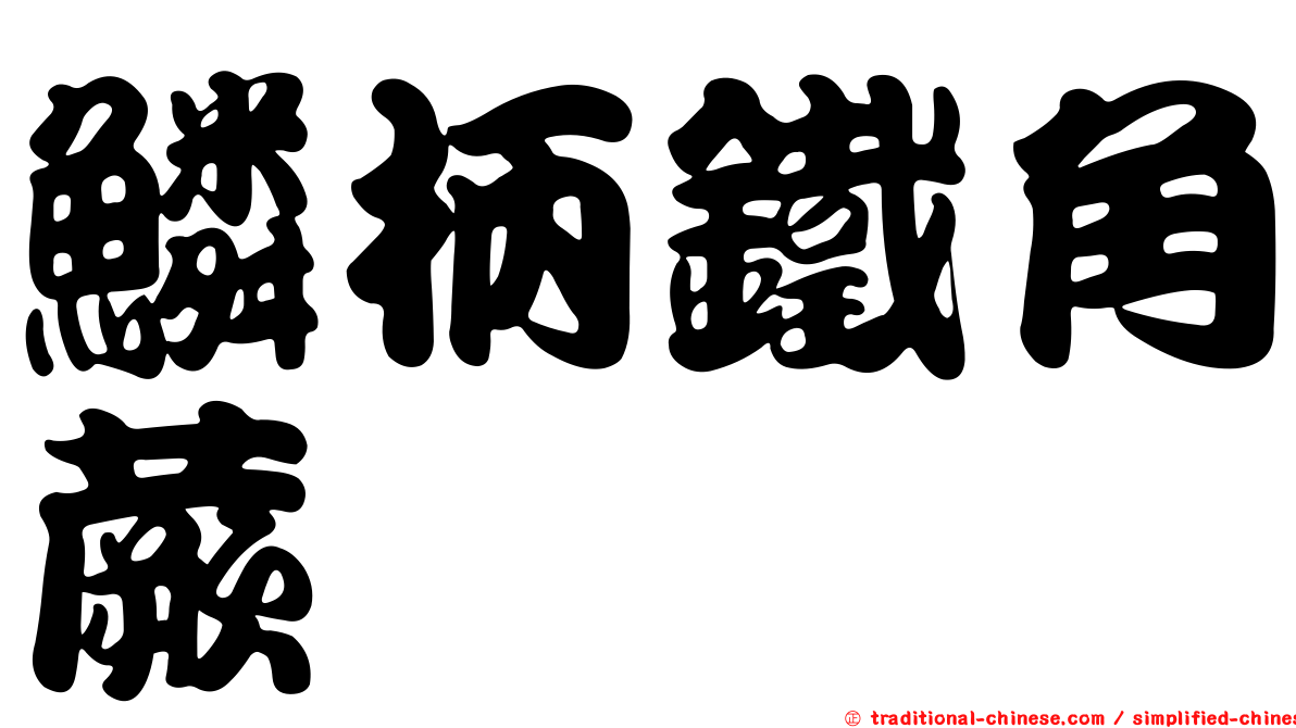 鱗柄鐵角蕨