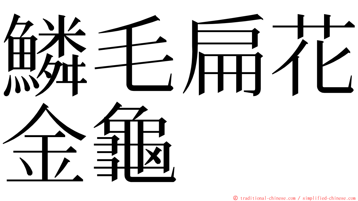 鱗毛扁花金龜 ming font