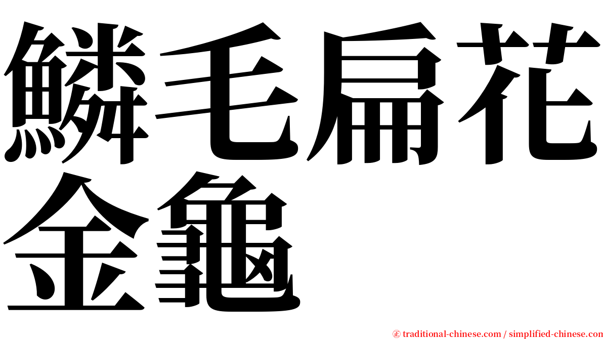 鱗毛扁花金龜 serif font