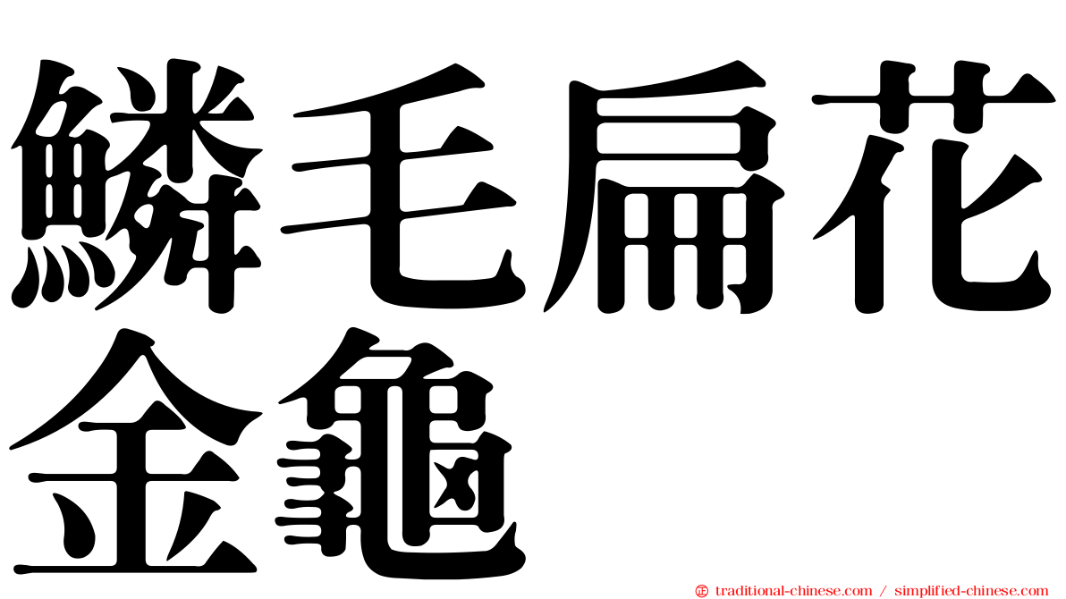 鱗毛扁花金龜