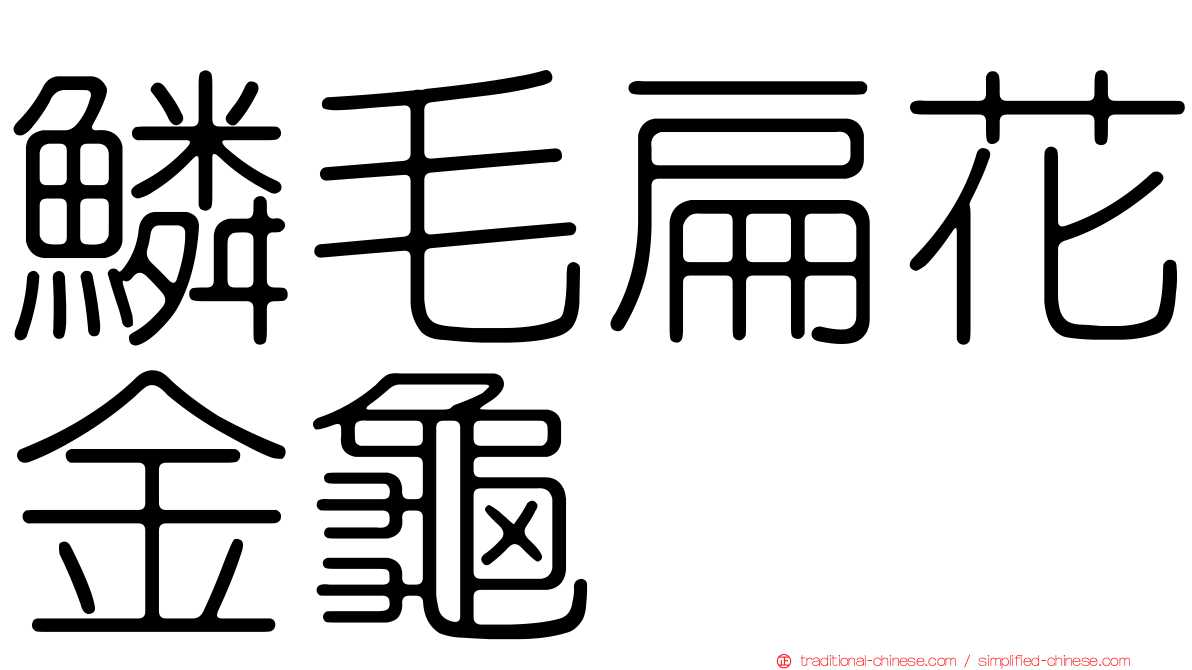 鱗毛扁花金龜