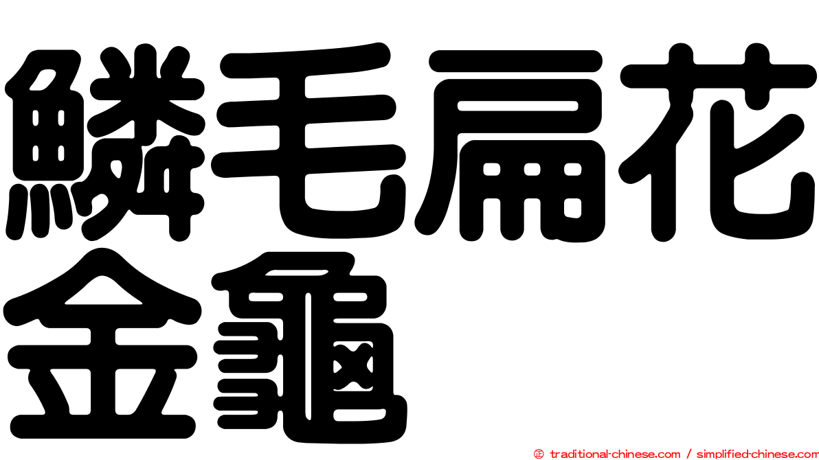 鱗毛扁花金龜