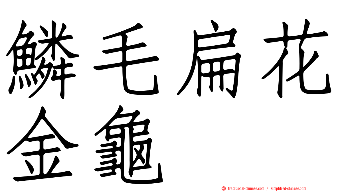 鱗毛扁花金龜