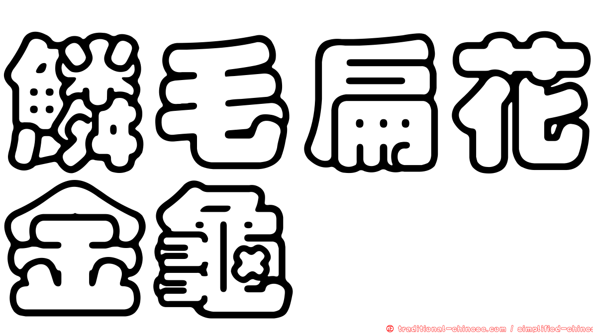 鱗毛扁花金龜