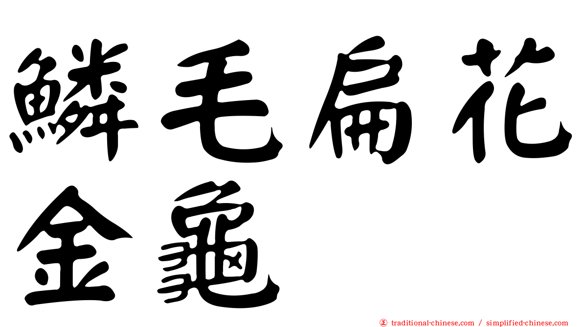 鱗毛扁花金龜