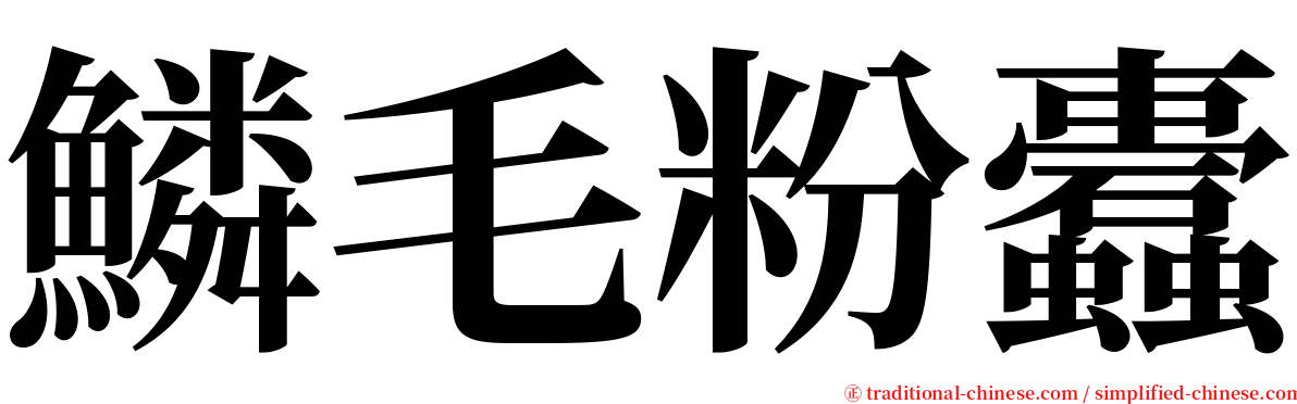 鱗毛粉蠹 serif font