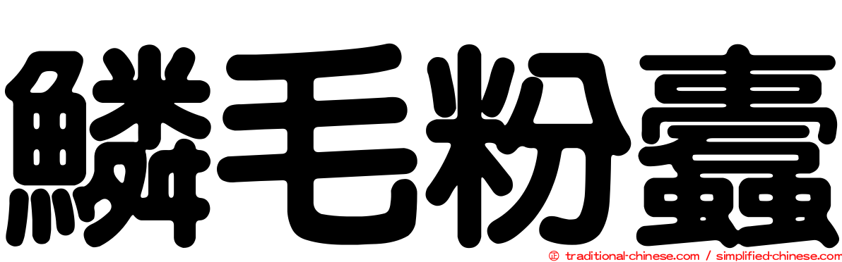 鱗毛粉蠹