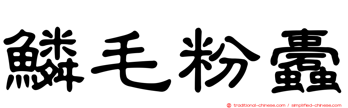 鱗毛粉蠹