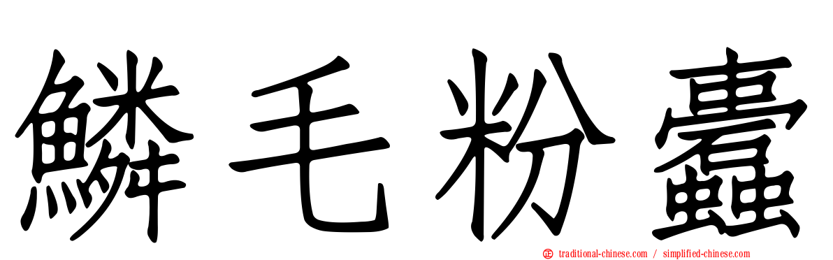 鱗毛粉蠹