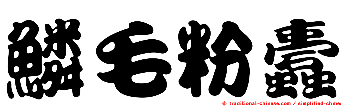 鱗毛粉蠹