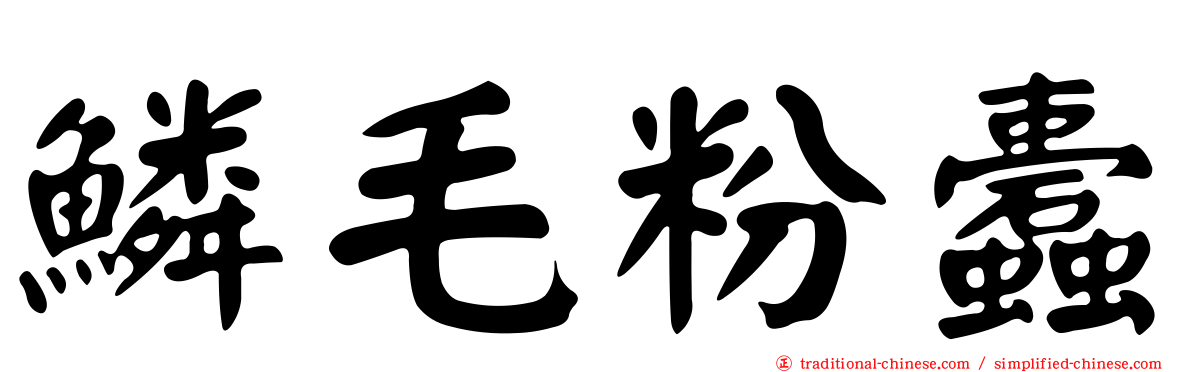 鱗毛粉蠹
