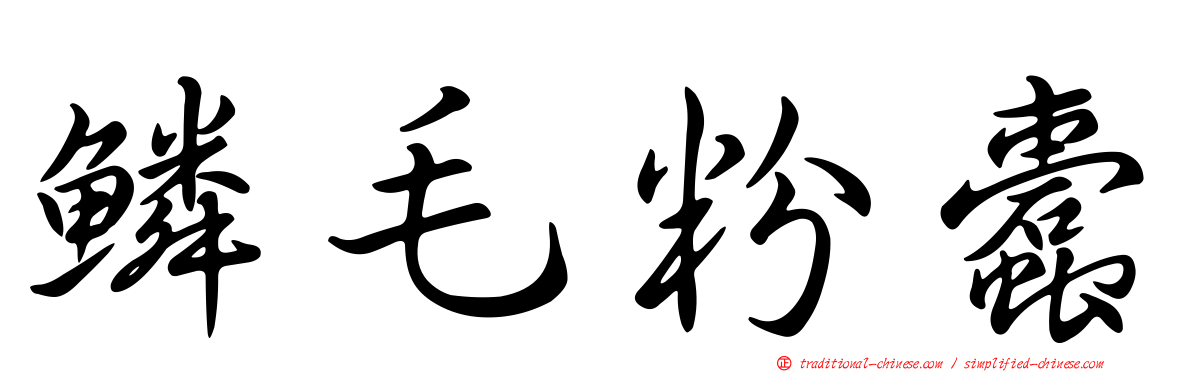 鱗毛粉蠹