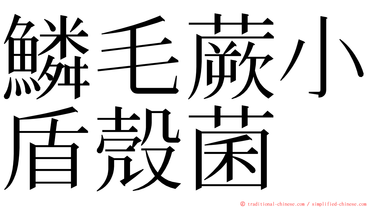 鱗毛蕨小盾殼菌 ming font
