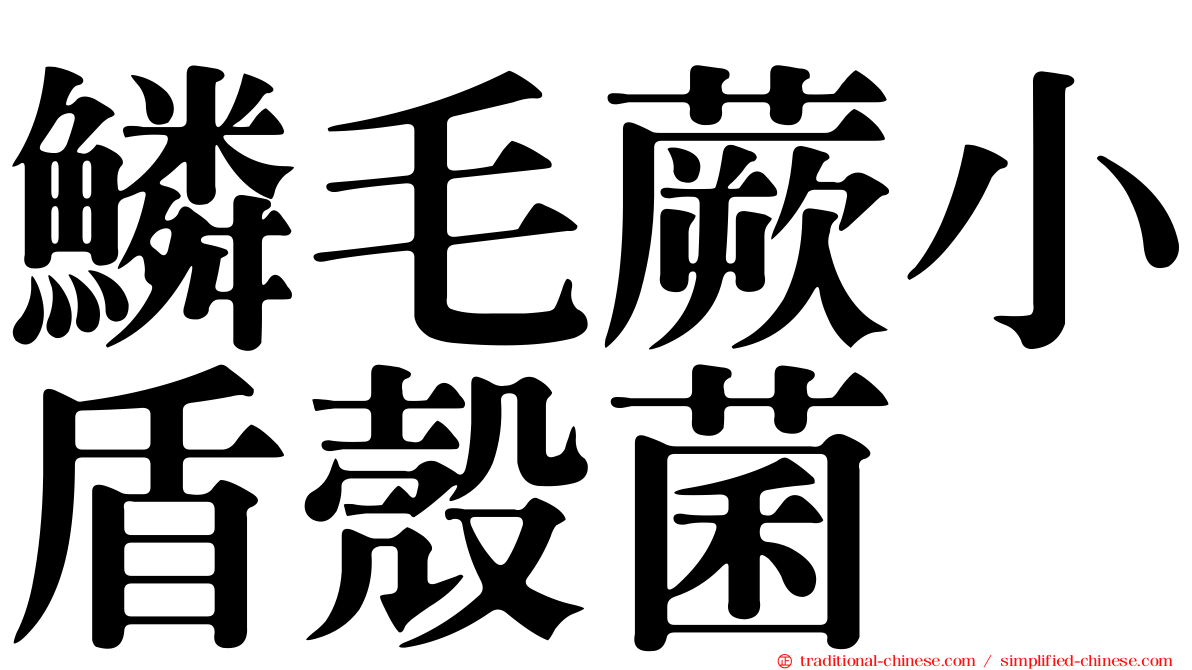 鱗毛蕨小盾殼菌