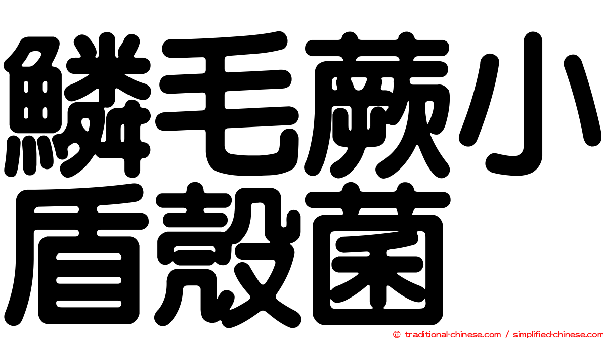 鱗毛蕨小盾殼菌