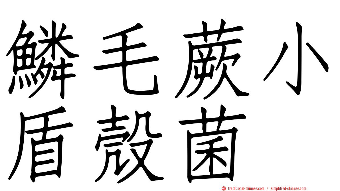 鱗毛蕨小盾殼菌