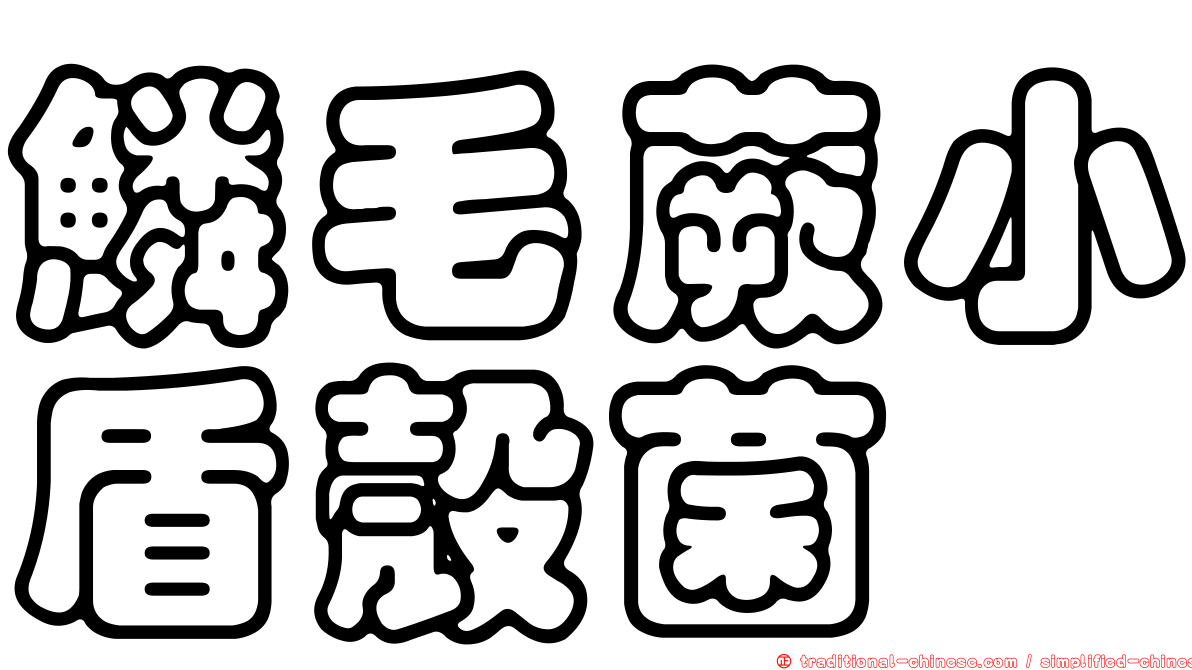 鱗毛蕨小盾殼菌