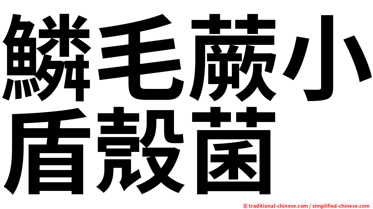 鱗毛蕨小盾殼菌