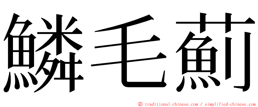 鱗毛薊 ming font