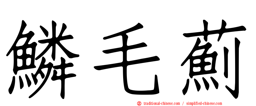 鱗毛薊