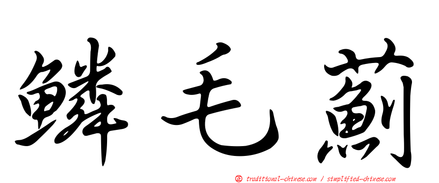 鱗毛薊