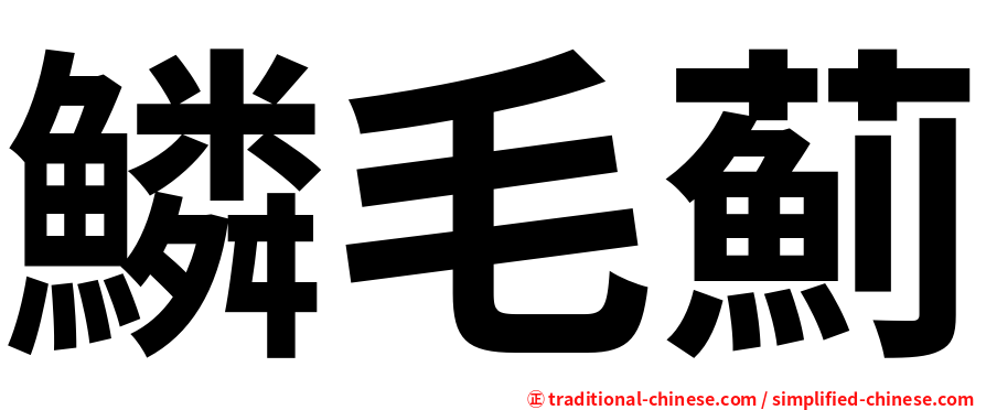 鱗毛薊