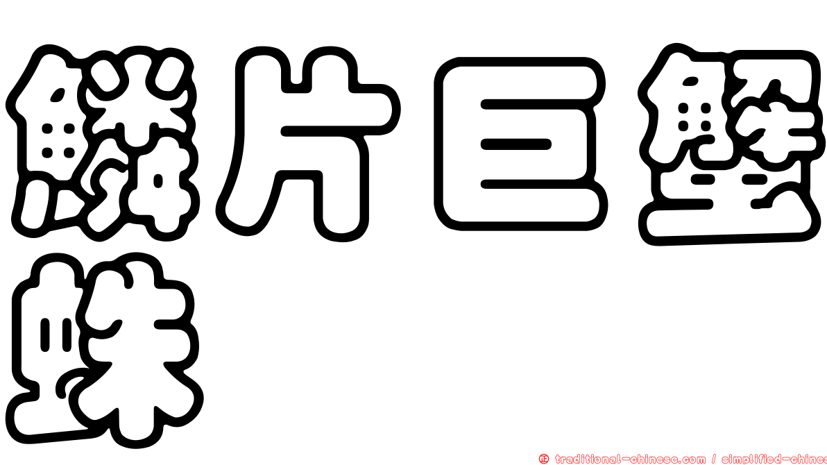 鱗片巨蟹蛛