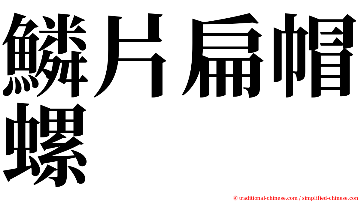 鱗片扁帽螺 serif font