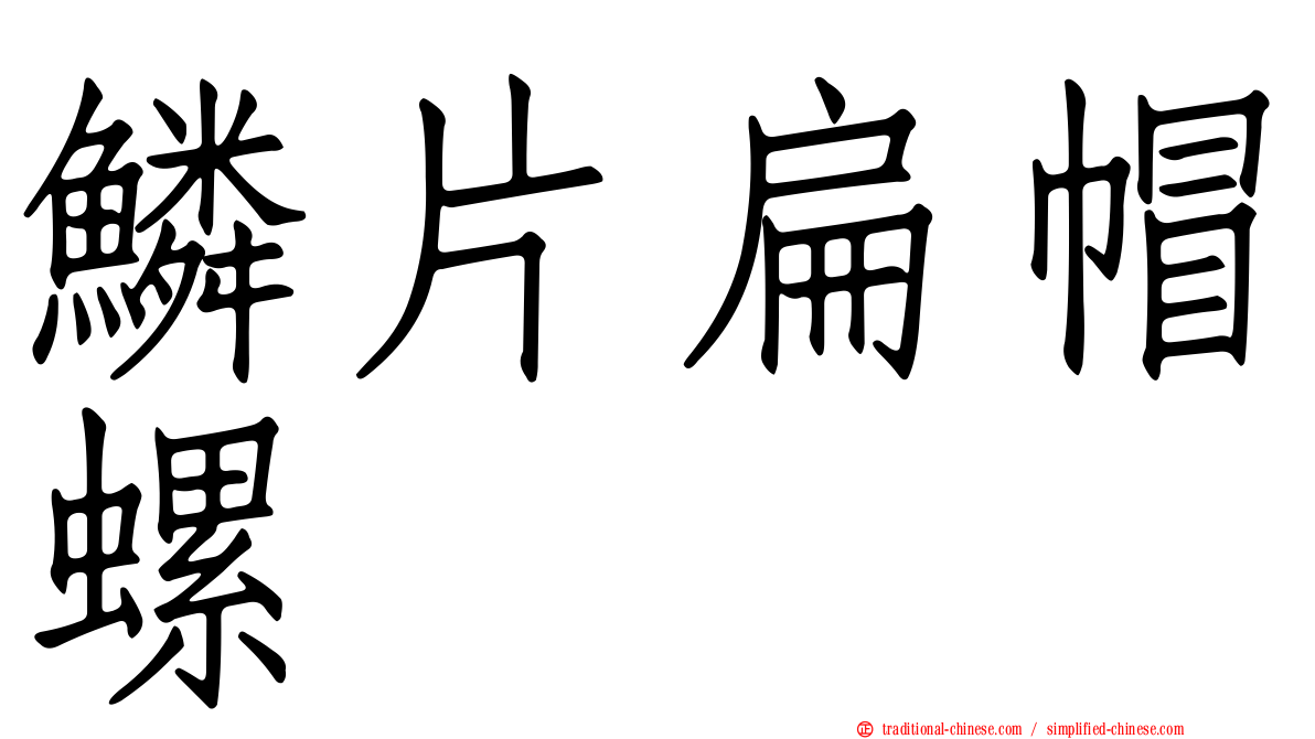 鱗片扁帽螺