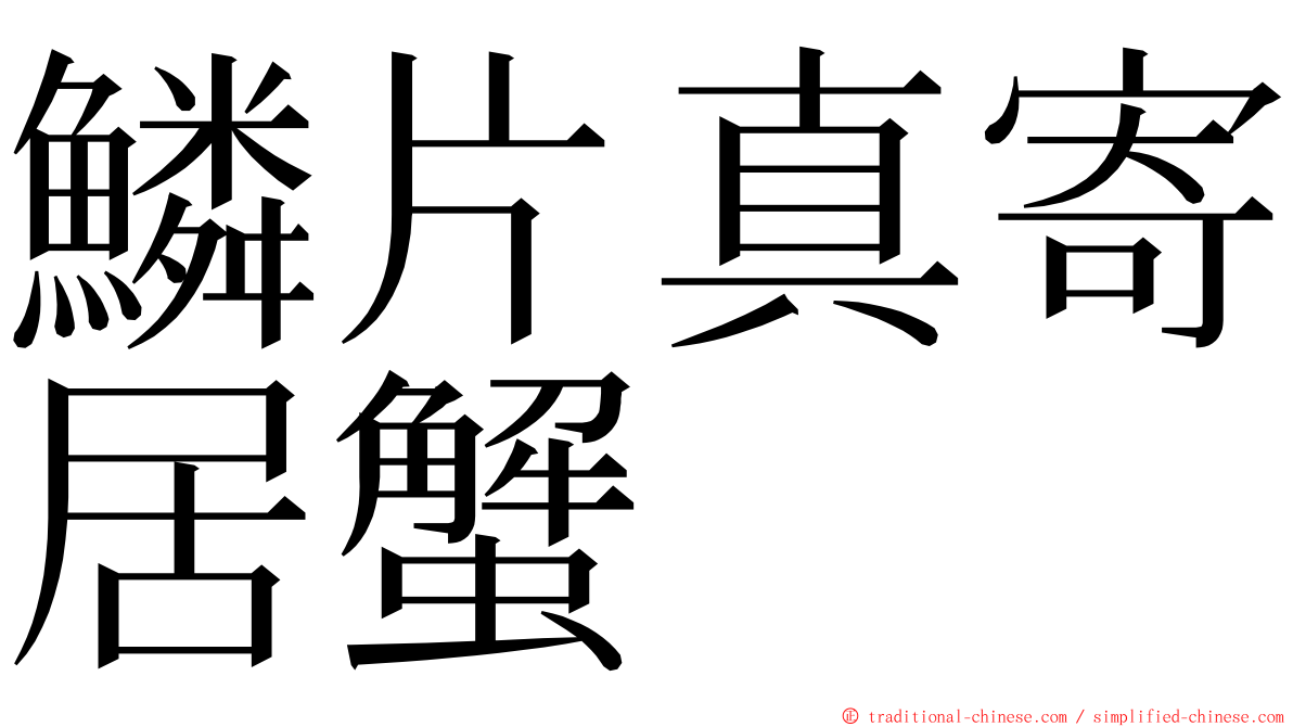 鱗片真寄居蟹 ming font
