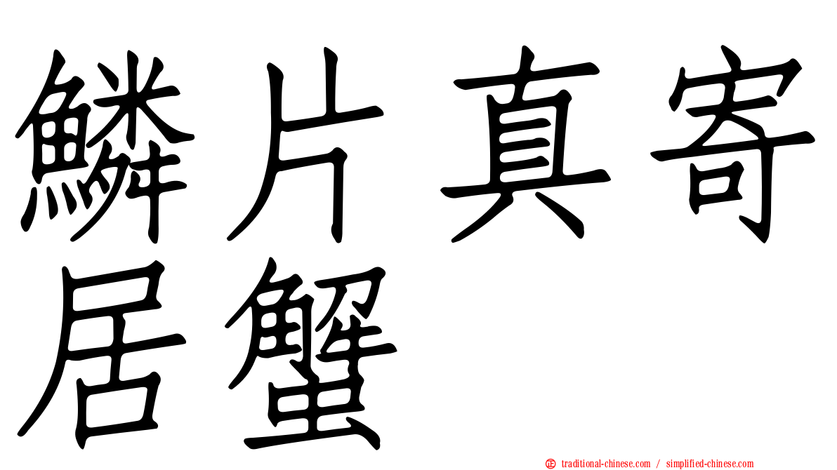 鱗片真寄居蟹