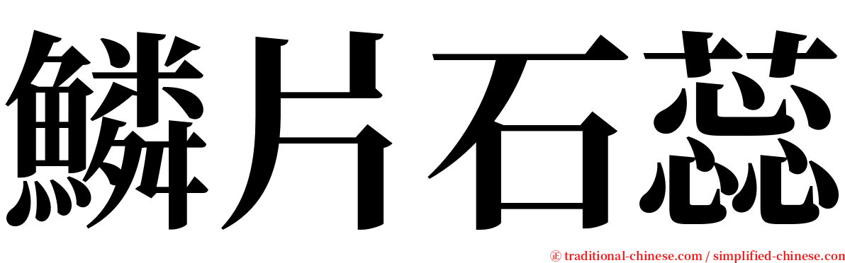 鱗片石蕊 serif font
