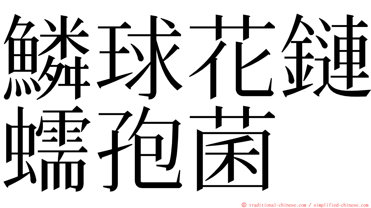 鱗球花鏈蠕孢菌 ming font