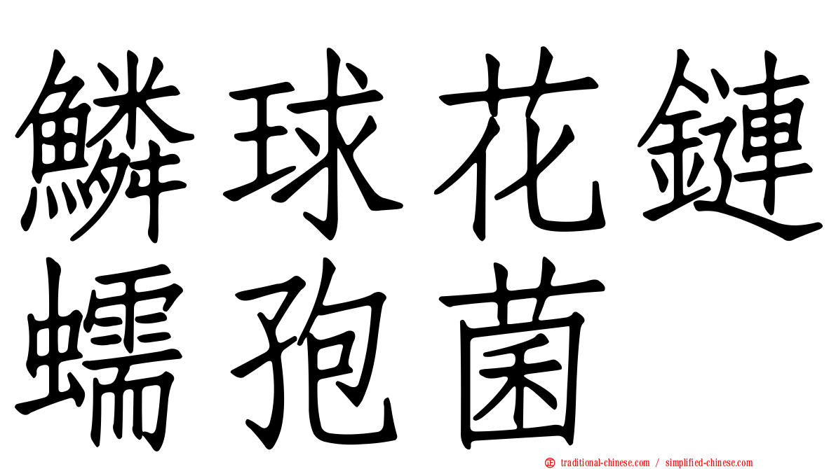 鱗球花鏈蠕孢菌