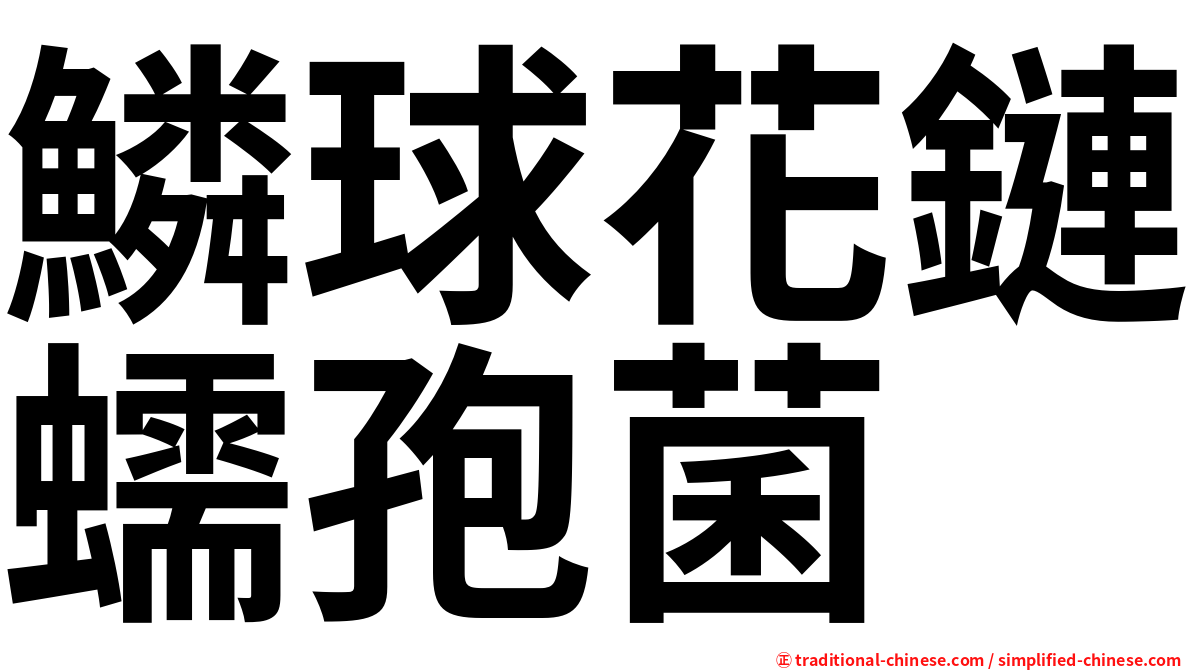 鱗球花鏈蠕孢菌