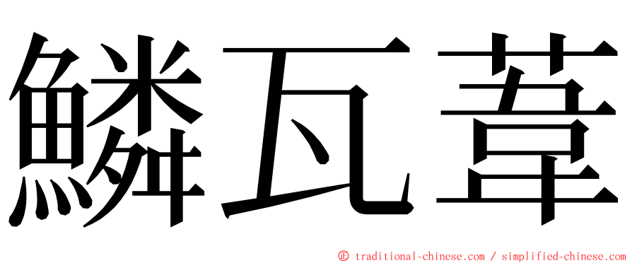 鱗瓦葦 ming font