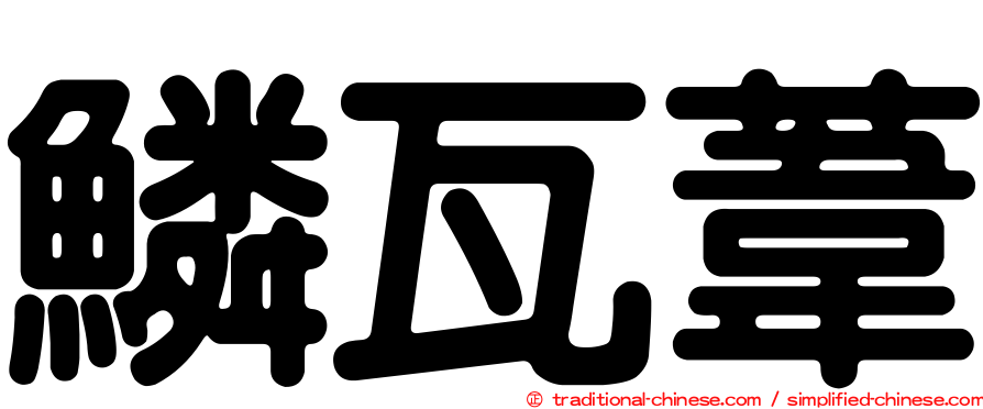 鱗瓦葦