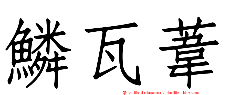 鱗瓦葦