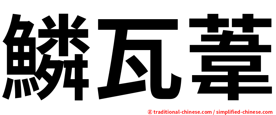 鱗瓦葦
