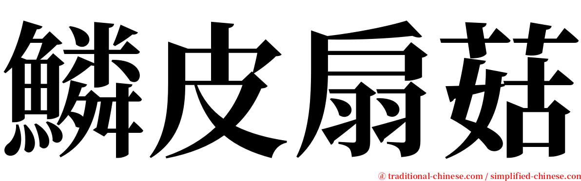 鱗皮扇菇 serif font