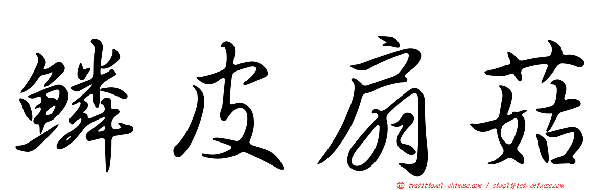 鱗皮扇菇