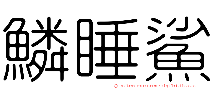 鱗睡鯊