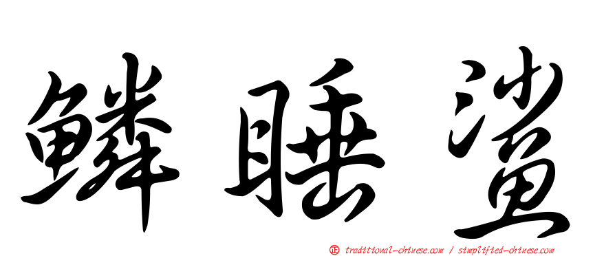 鱗睡鯊