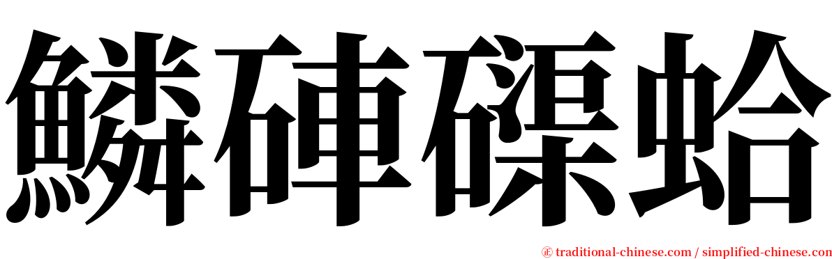 鱗硨磲蛤 serif font