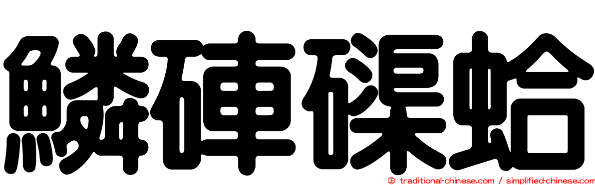 鱗硨磲蛤