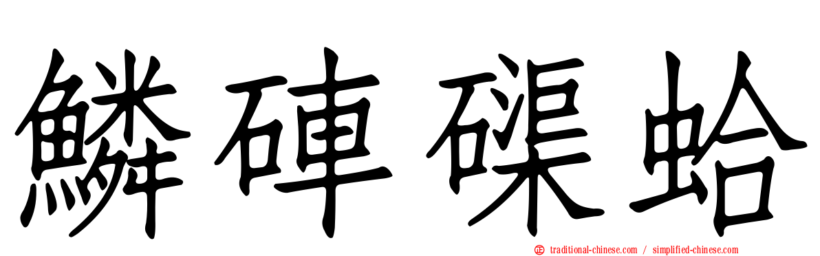 鱗硨磲蛤