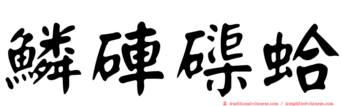 鱗硨磲蛤