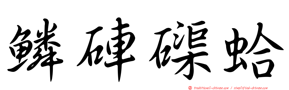 鱗硨磲蛤
